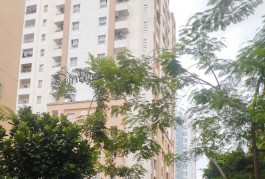 Ngộp Khu Bầu Cát - Tân Bình - HXH 6m tránh - 40m2 - 4 tầng BTCT
